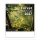 Forest falinaptár \H171\